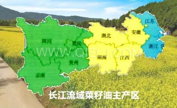濃香菜籽油成套設備，企鵝糧油機械品質(zhì)出眾(圖1)
